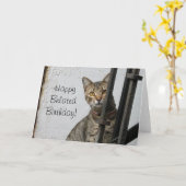 Gelukkig Laat de kattenwenskaart van de Kaart (Gele Bloem)