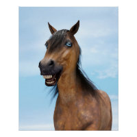 Gelukkig Lachende Baard Veulen