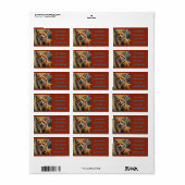 Gelukkig Lachende Vos - Abstracte verfspatten Etiket (Full Sheet)