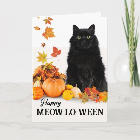 Gelukkig Meow-lo-ween met Halloween Zwarte Kat Kaart (Voorkant)