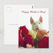 Gelukkig Moederdag! Bull-doodsbang met rozen Briefkaart (Voorkant / Achterkant)