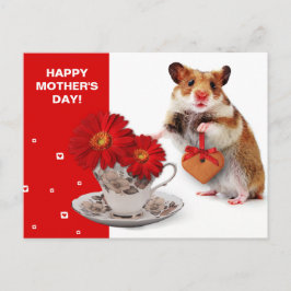 Gelukkig Moederdag. Funny Hamster Briefkaart