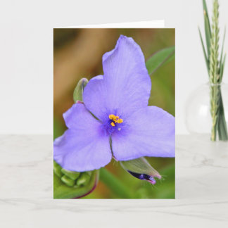 Gelukkig Moederdag! Kaart