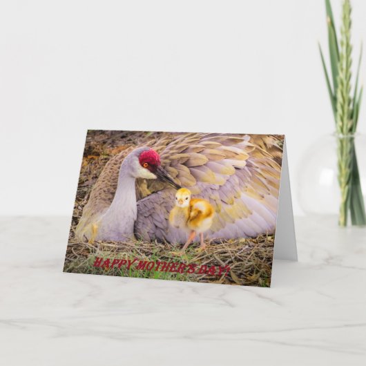 Gelukkig Moederdag! Kaart (Voorkant)