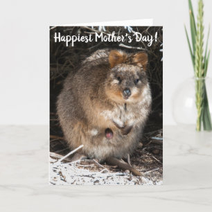Gelukkig Moederdag Quokka Australië Kaart