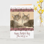 Gelukkig Moederdag van allebei van ons met Katten Kaart (Gele Bloem)