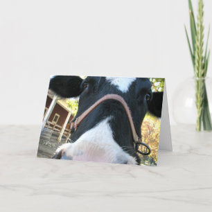 Gelukkig Moo Jaar Feestdagen Kaart