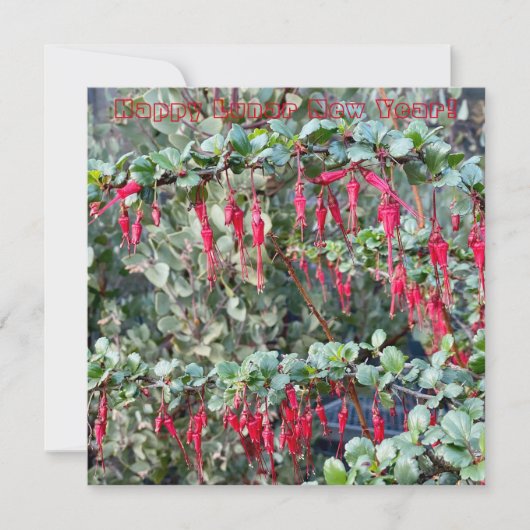 Gelukkig Nieuw Lumaarjaar Notitiekaartje (Voorkant)