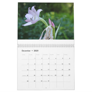 Gelukkig Nieuwjaar kalenderjaar 2025 Kalender