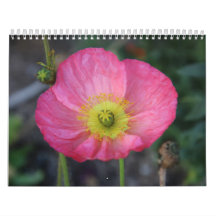 Gelukkig Nieuwjaar kalenderjaar 2025