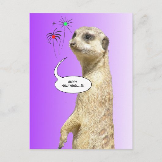 Gelukkig Nieuwjaar Meerkat Briefkaart Vuurwerk Paa (Voorkant)