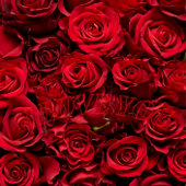 Gelukkig Nieuwjaar Mokken 2025