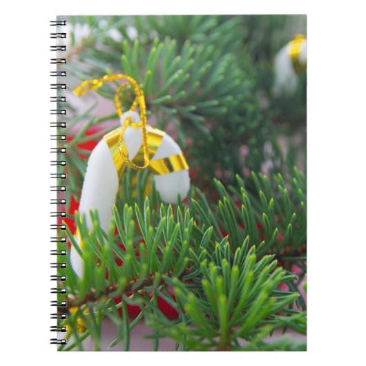 Gelukkig nieuwjaar notitieboek (Voorkant)