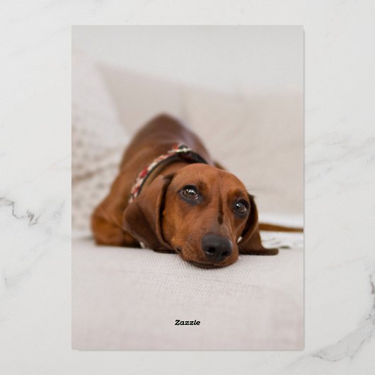 Gelukkig Nieuwjaar Script Twee Foto Folie Feestdagenkaart (Achterkant)