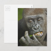 Gelukkig Nieuwjaar van de Astrologie van de Monkey Feestdagenkaart (Voorkant / Achterkant)