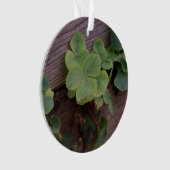 Gelukkig of Vastberaden? St. Patricks Day Klavertj Ornament (voorkant)