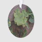 Gelukkig of Vastberaden? St. Patricks Day Klavertj Ornament (voorkant)