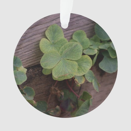 Gelukkig of Vastberaden? St. Patricks Day Klavertj Ornament (voorkant)