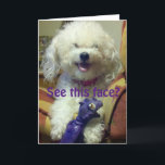 GELUKKIG OMDAT **BESTE VRIEND** VERJAARDAG KAART<br><div class="desc">Wat een gelukkige Bischon (hij of zij) echt wil zeggen ***GELUKKIGE VERJAARDAG VOOR ZIJN OF HAAR ***BESTE VRIEND****</div>