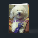 GELUKKIG OMDAT **BESTE VRIEND** VERJAARDAG KAART<br><div class="desc">Wat een gelukkige Bischon (hij of zij) echt wil zeggen ***GELUKKIGE VERJAARDAG VOOR ZIJN OF HAAR ***BESTE VRIEND****</div>