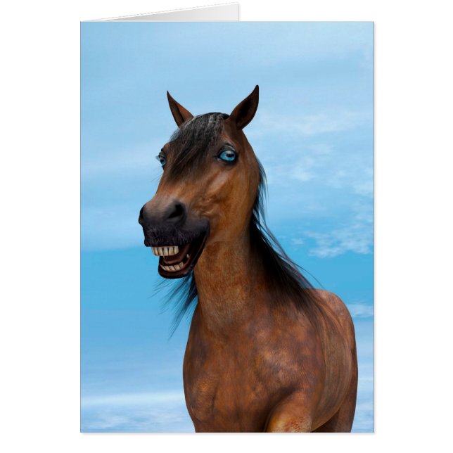 Gelukkig Paard (Voorkant)