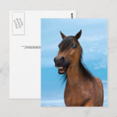 Gelukkig Paard Briefkaart (Voorkant / Achterkant)