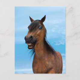 Gelukkig Paard Briefkaart