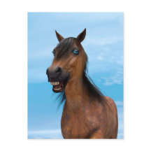 Gelukkig Paard