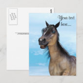 Gelukkig Paard Briefkaart (Voorkant / Achterkant)