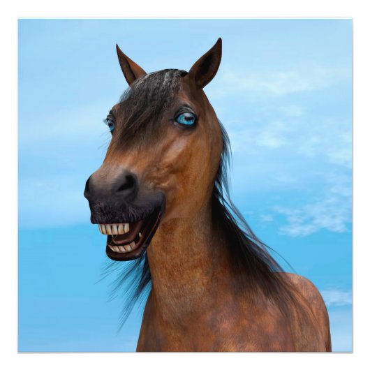 Gelukkig Paard Foto Afdruk (Voorkant)