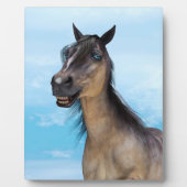 Gelukkig Paard Fotoplaat (Voorkant)