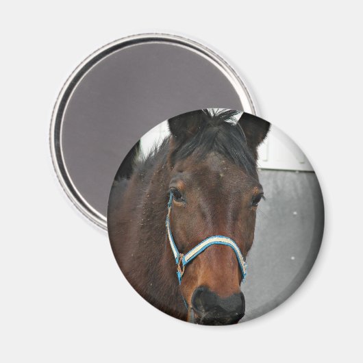 gelukkig paard magneet (Voorkant / Achterkant)