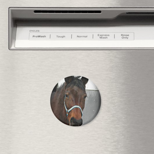 gelukkig paard magneet (Insitu (Vaatwasser))