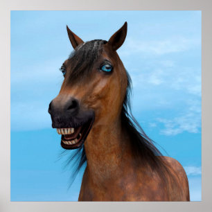 Gelukkig Paard Poster