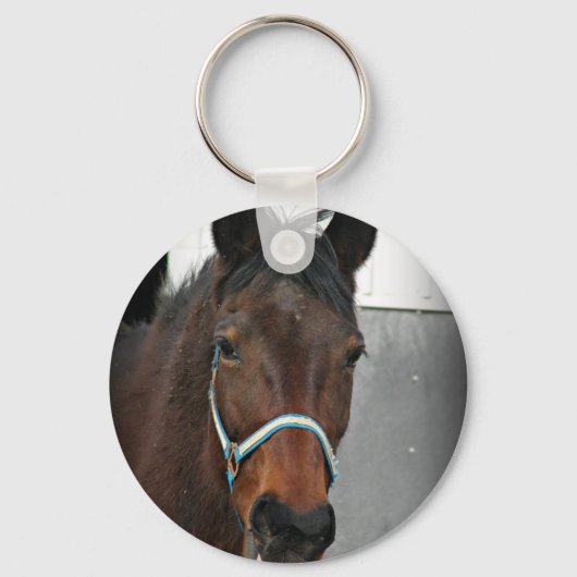 gelukkig paard sleutelhanger (Voorkant)