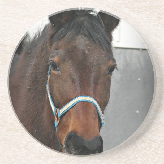 gelukkig paard zandsteen onderzetter (Voorkant)