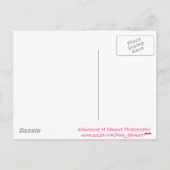 Gelukkig Pasen Kleine Chipmunk Feestdagenkaart (Achterkant)