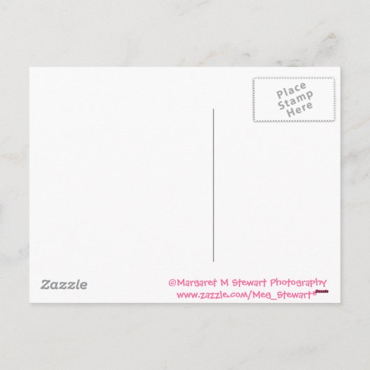 Gelukkig Pasen Kleine Chipmunk Feestdagenkaart (Achterkant)