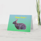 Gelukkig Pasen Konijn Kaart (Voorkant)