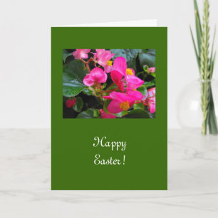 Gelukkig Pasen roze begonia bloemen Feestdagen Kaart