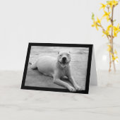 Gelukkig pitbullwenskaart kaart (Gele Bloem)