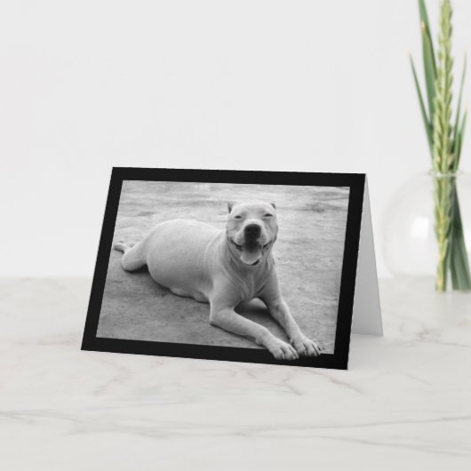 Gelukkig pitbullwenskaart kaart (Voorkant)