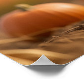 Gelukkig pompoen vogelverschrikker poster (Hoek)