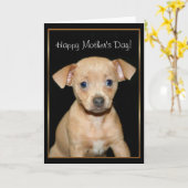 Gelukkig pug van Chihuahua van het Moederdag Kaart (Gele Bloem)