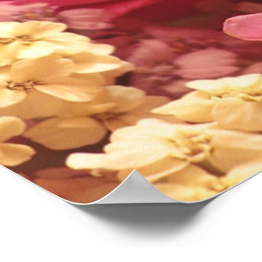 Gelukkig Roos op moederdag Poster (Hoek)