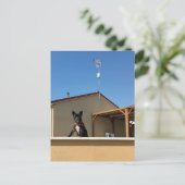 Gelukkig Schattige Frans Bulldog Briefkaart (Staand voorkant)