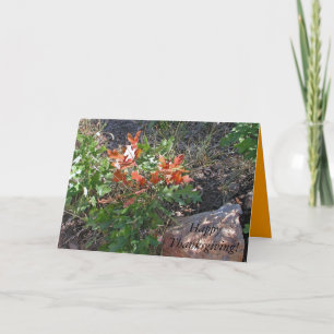 Gelukkig Thanksgiving! door Janz Feestdagen Kaart