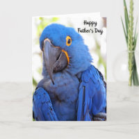 Gelukkig Vaderdag ... Van de vogel