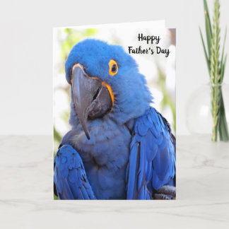 Gelukkig Vaderdag ... Van de vogel Kaart
