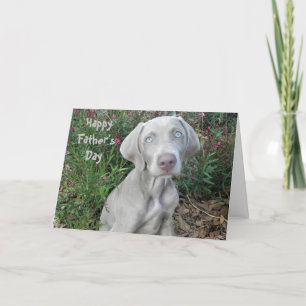 Gelukkig Vaderdag ... Van de Weimaraner Dog Kaart